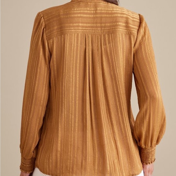 Soft Surroundings Jocelyn Blouse - Picture 3 of 7